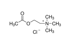 氯化乙酰胆碱